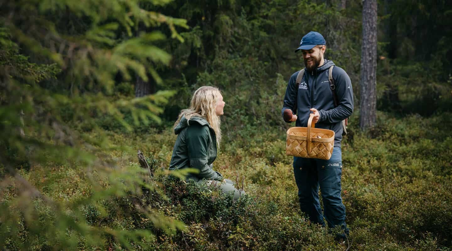 Lapland Safaris mushroom picking Rovaniemi
