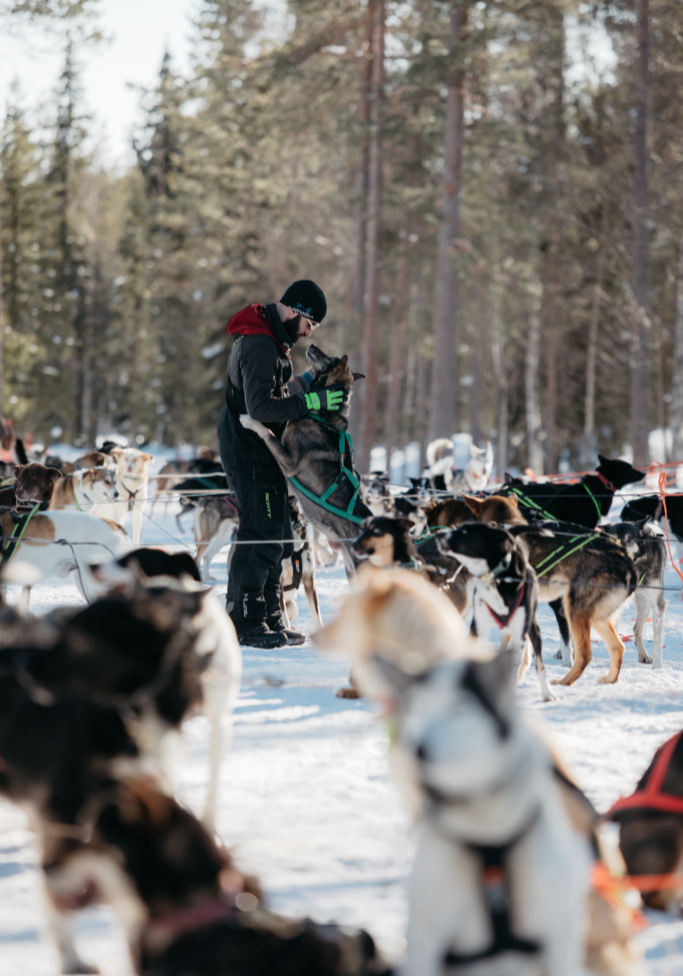 Lapland Husky Safaris Luosto 54